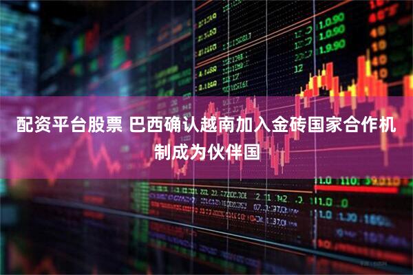 配资平台股票 巴西确认越南加入金砖国家合作机制成为伙伴国