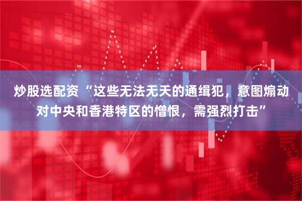 炒股选配资 “这些无法无天的通缉犯，意图煽动对中央和香港特区的憎恨，需强烈打击”